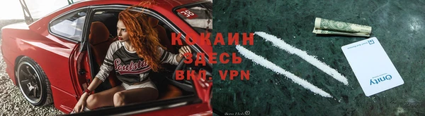 шишки Верхний Тагил