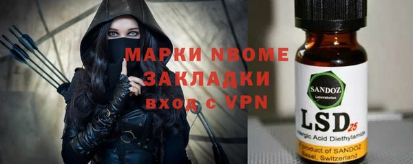 шишки Верхний Тагил