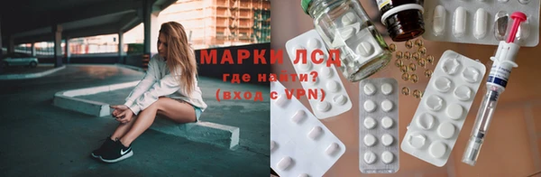 ПСИЛОЦИБИНОВЫЕ ГРИБЫ Покров