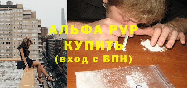 шишки Верхний Тагил