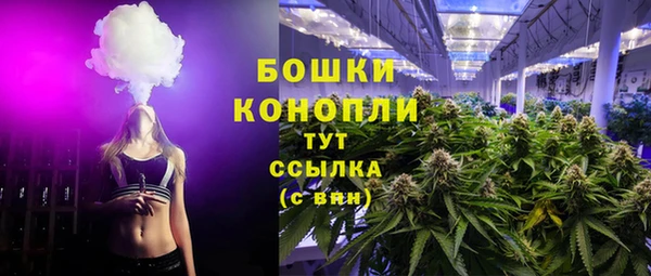 шишки Пролетарск