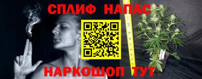 трава Балахна