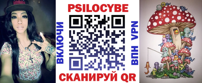 Галлюциногенные грибы Psilocybe Бузулук