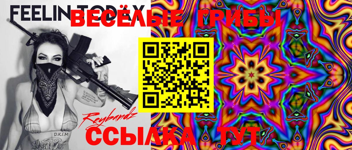 Псилоцибиновые грибы Psilocybine cubensis Бузулук